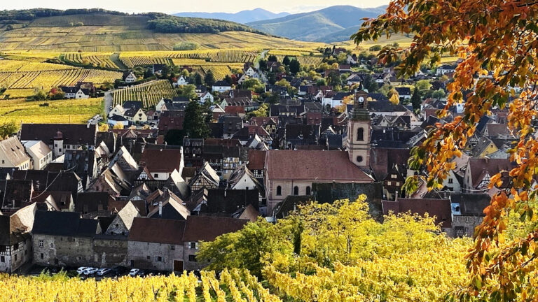 Paysage d'Alsace avec Magnific Escapades