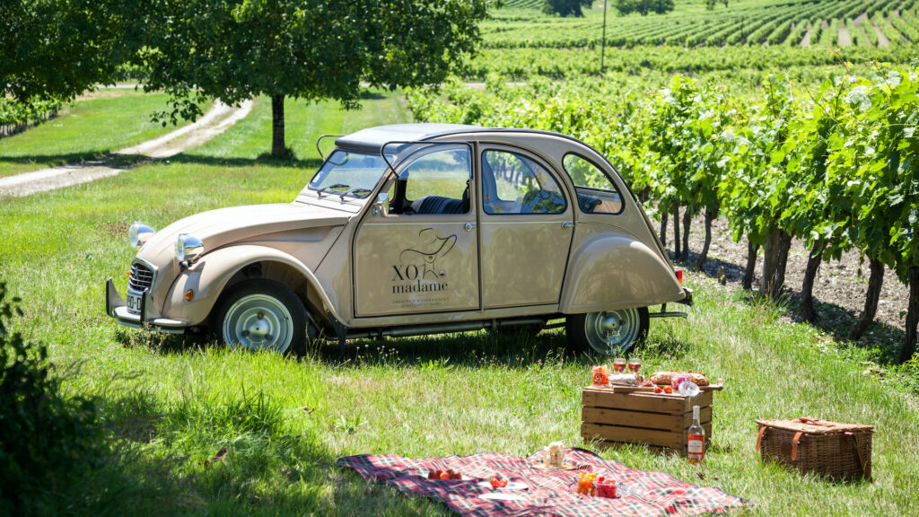 Discover the Cognac vineyards in a 2CV