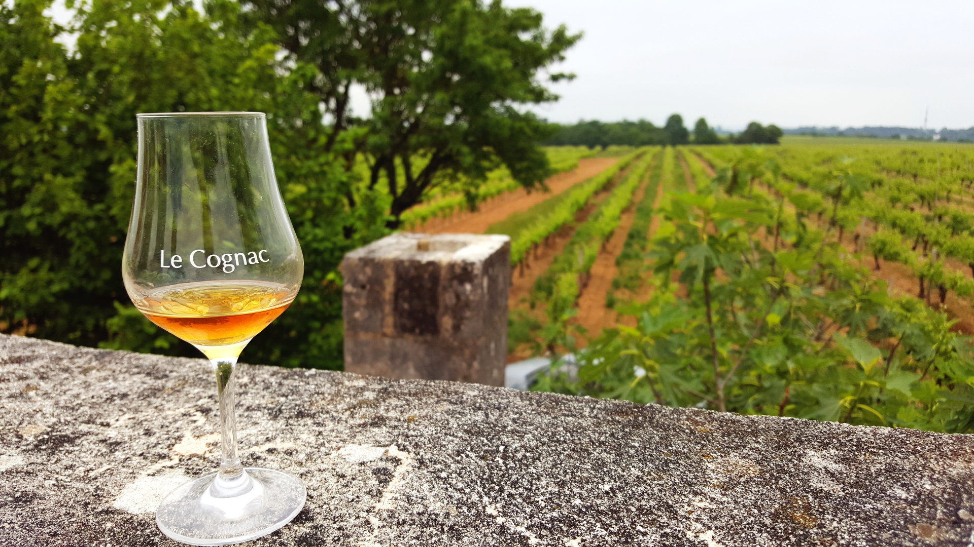 Découvrir le cognac avec Cognac Tasting Tour