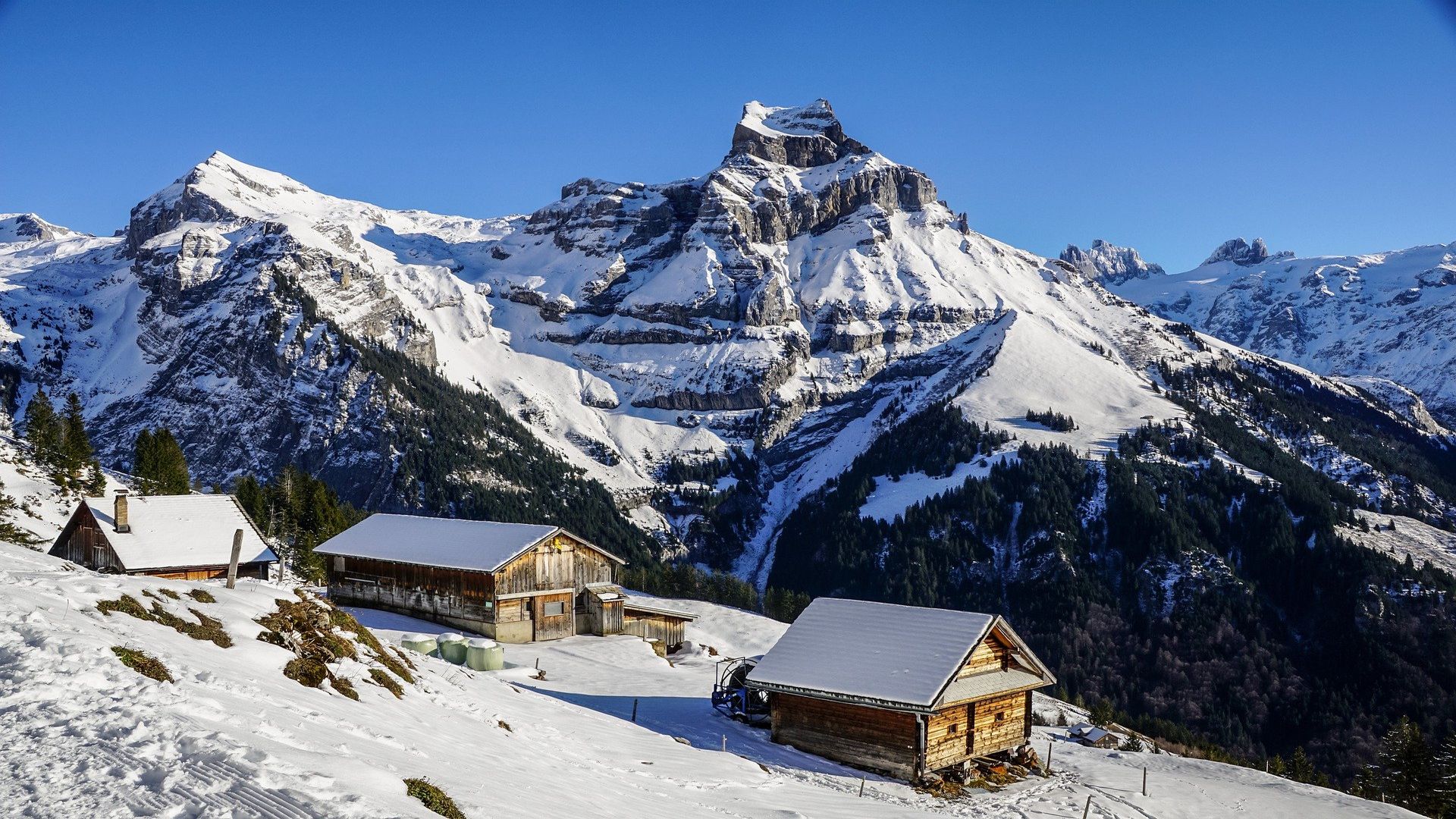 Les Alpes et le Mont Blanc, des joyaux parmi les meilleurs trésors de France avec Excelys Tours