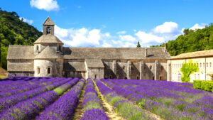 Sur les routes de la lavande, l'Abbaye de Senanque