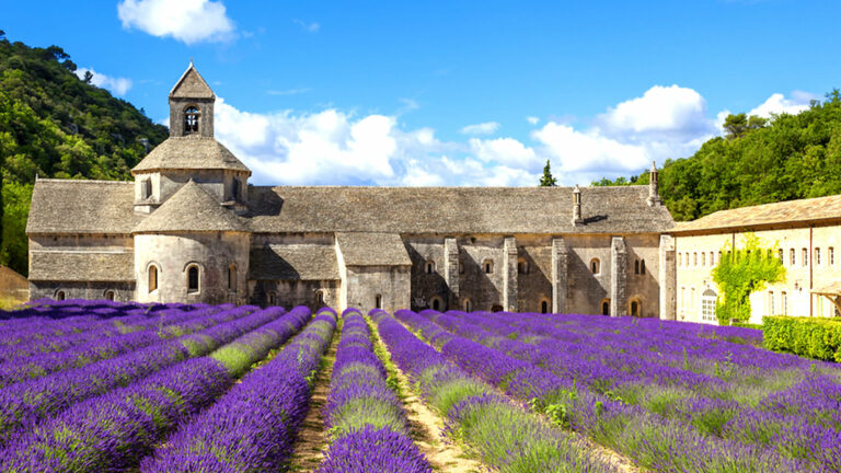 Sur les routes de la lavande, l'Abbaye de Senanque