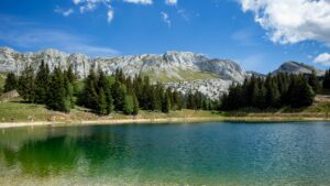 Destination Provence