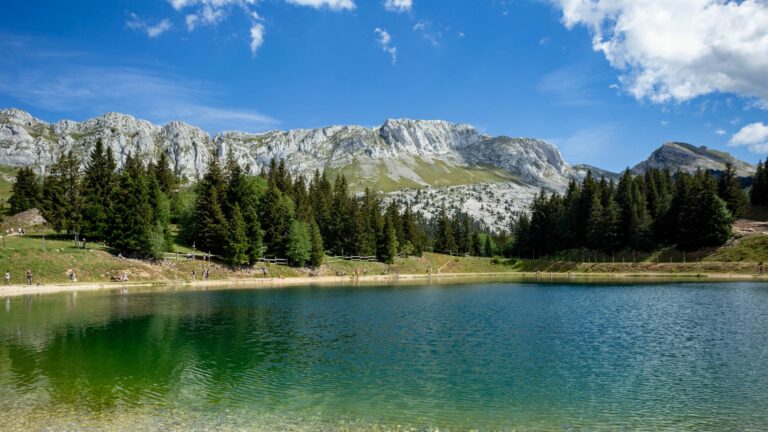 Destination Provence