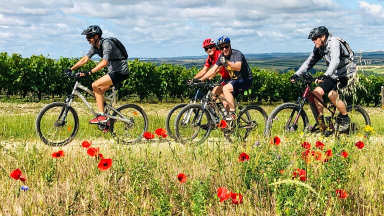Balade dans le vignoble de Bourgogne avec France à Vélo