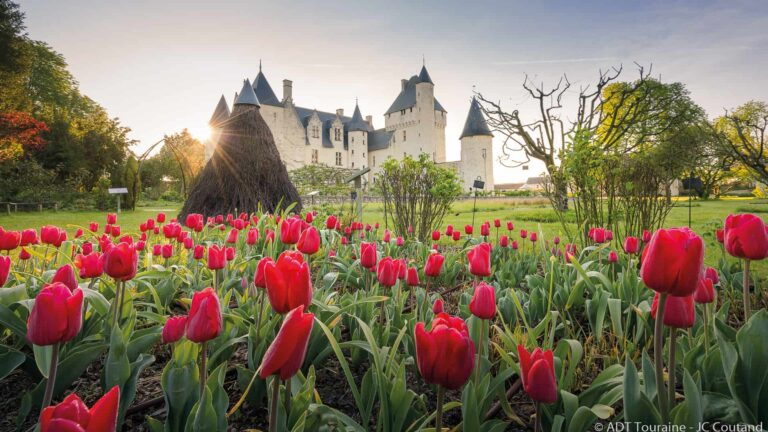 Loire Secrets