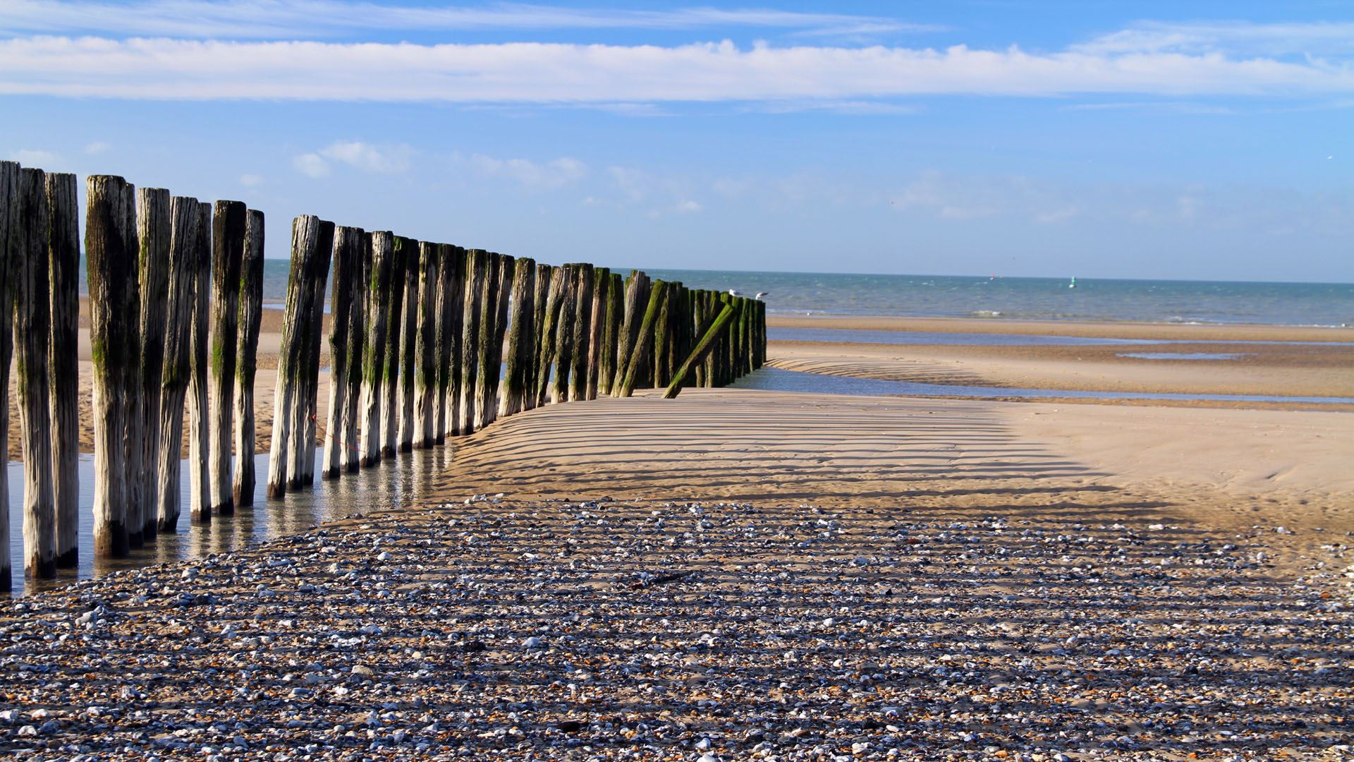 Lire la suite à propos de l’article Entre Baie de Somme et Côte d’Opale