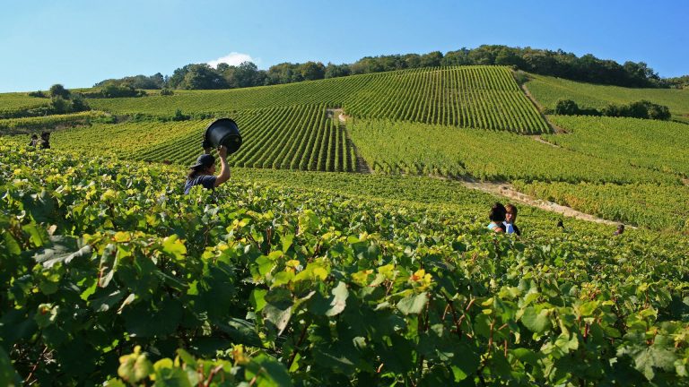 destination champagne