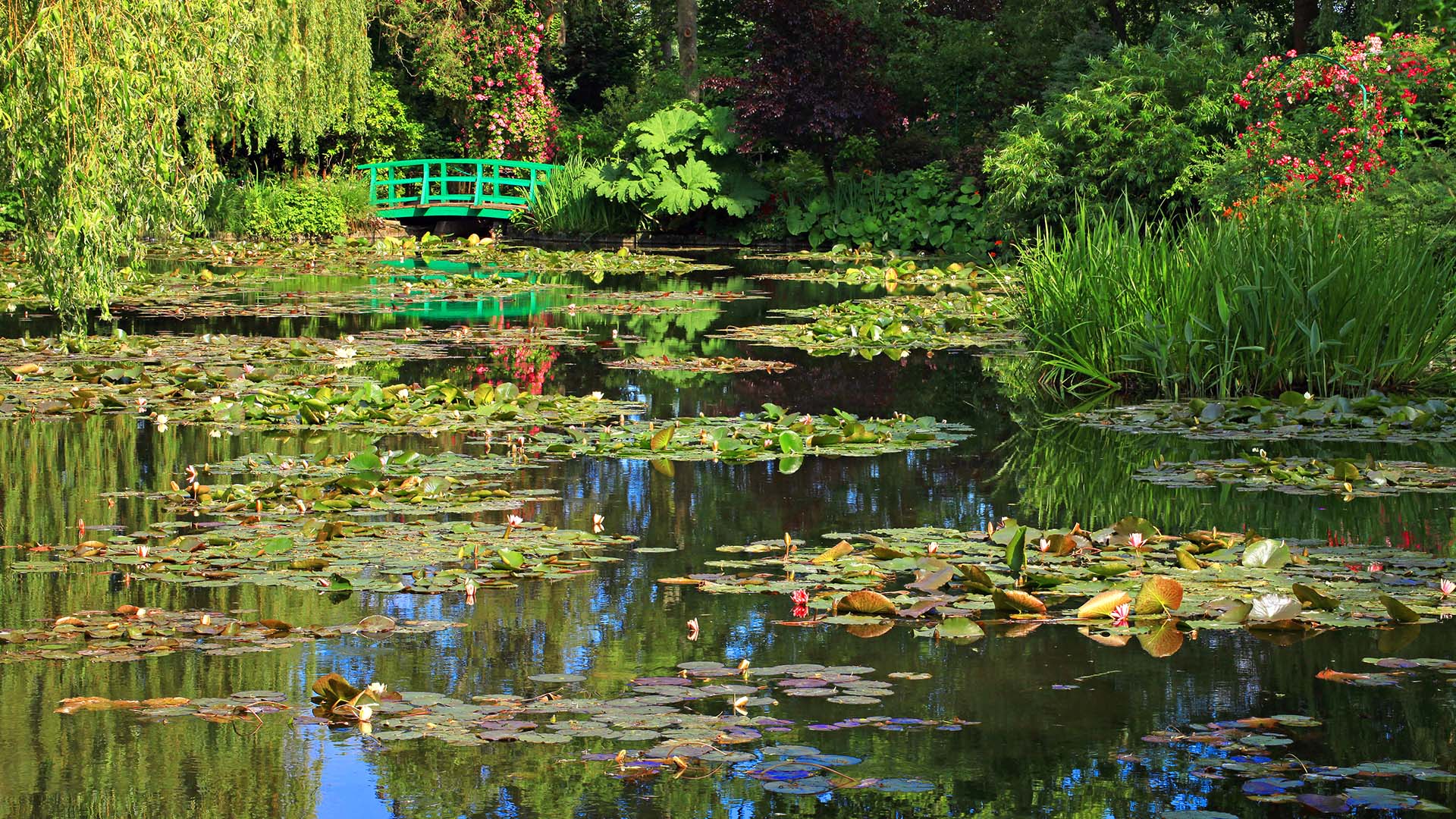 Lire la suite à propos de l’article PEINTRE-PEINTURE IMPRESSIONNISTES FRANCAIS-PARIS-NORMANDIE-PROVENCE-COTE D’AZUR